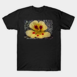 FLOWERS, NATURE’S Fashion Models T-Shirt